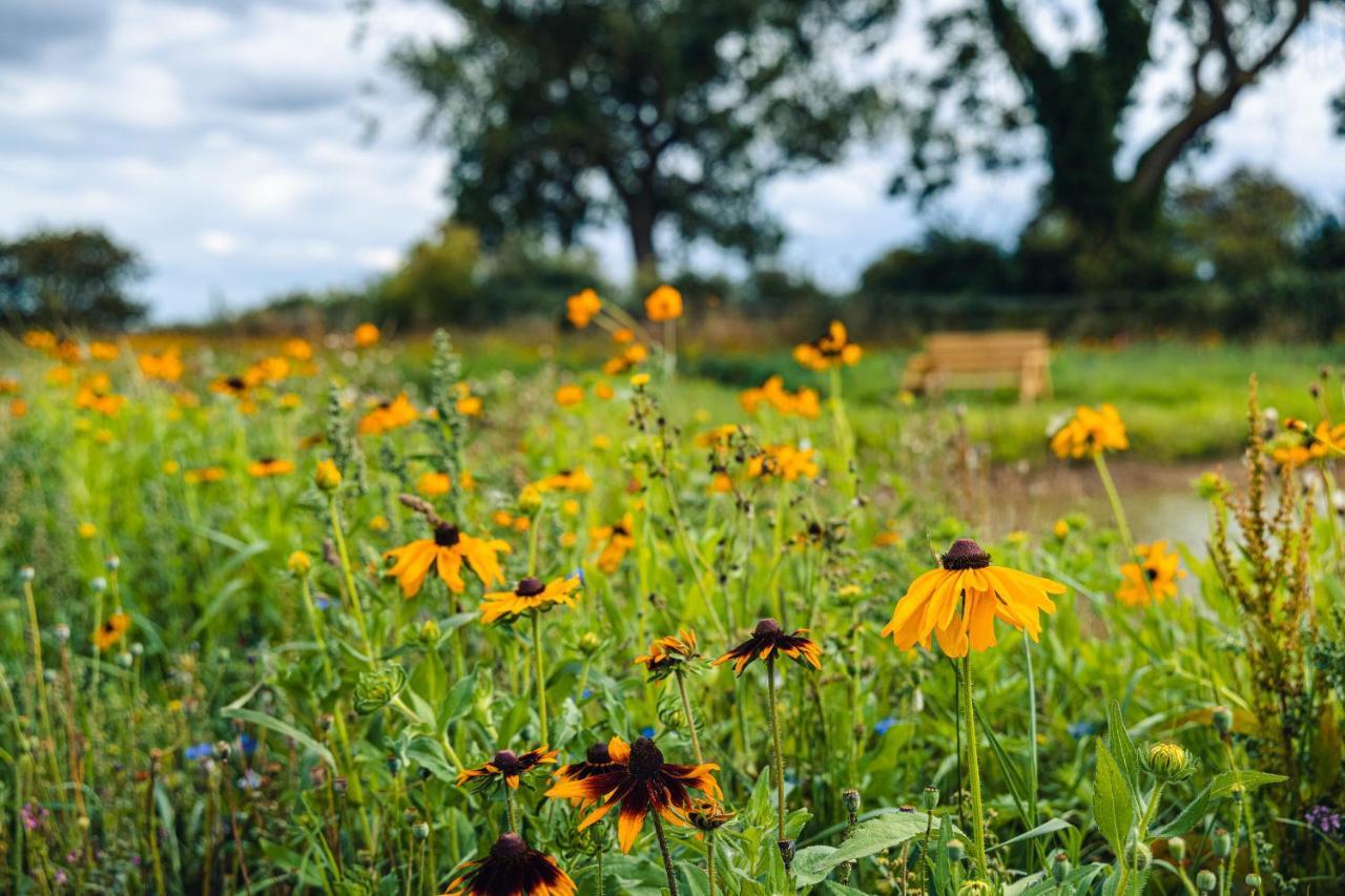 Andrus - Mayflower Meadow Brandesburton Dış mekan fotoğraf